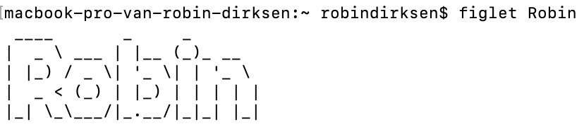 Figlet terminal art with value: "Robin"